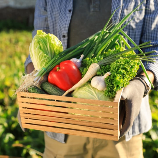 alimentatie sanatoasa pentru articulatii